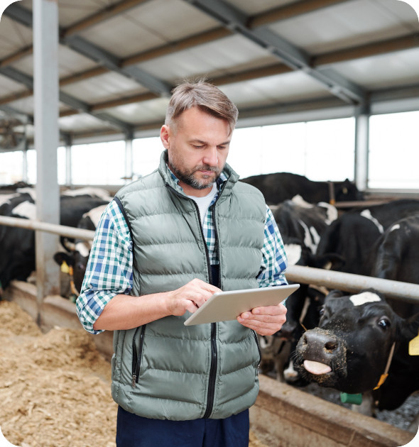 TAMS 3 Solar Capital Investment Scheme For Farmers!